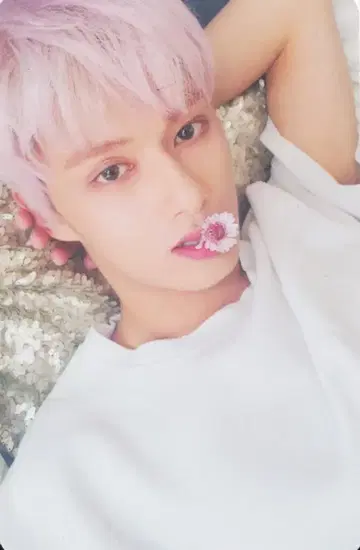 세븐틴 준 틴에이지 화이트