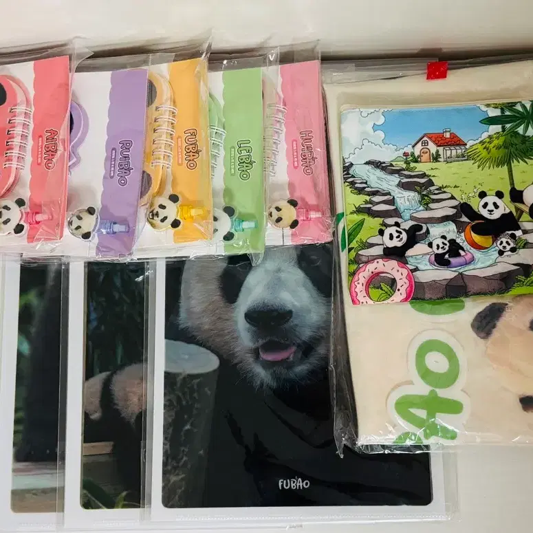 바오패밀리 굿즈