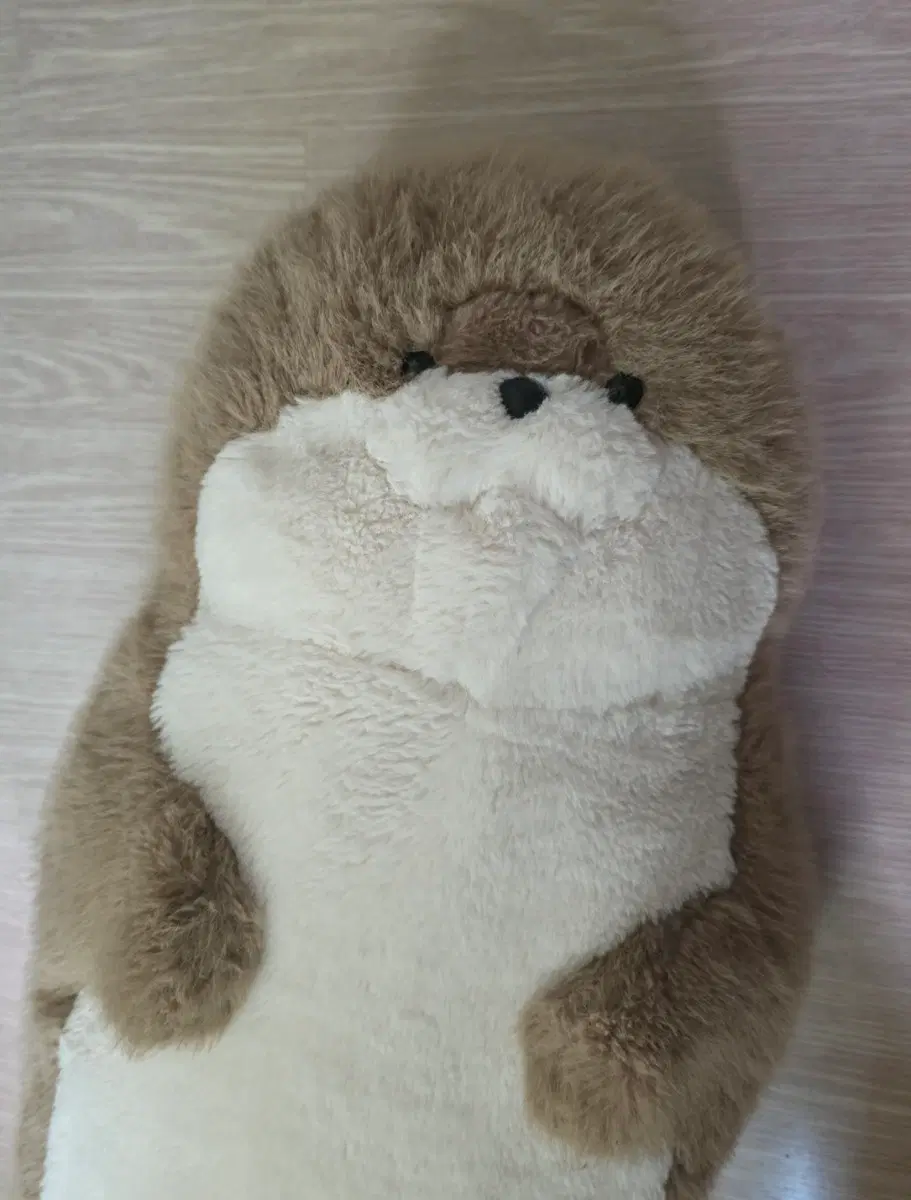 안고자는 물범 인형 대형봉제인형