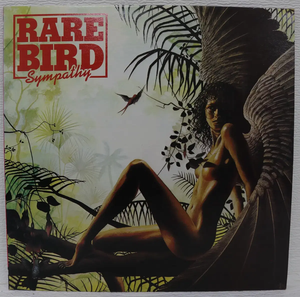 [NO.6287] RARE BIRD (SYMPATHY) LP음반