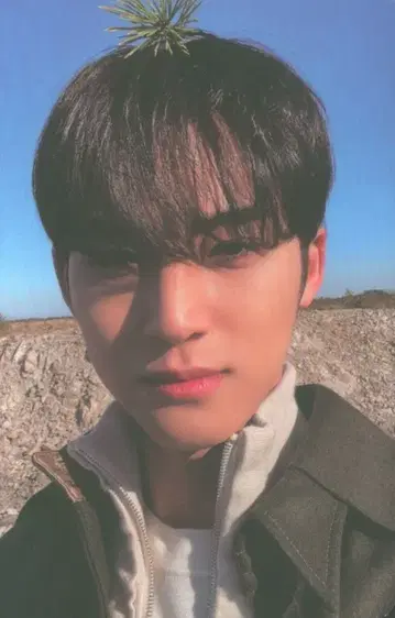 SEVENTEEN FACE THE SUN MINGYU 트레이딩 카드 Ep4.