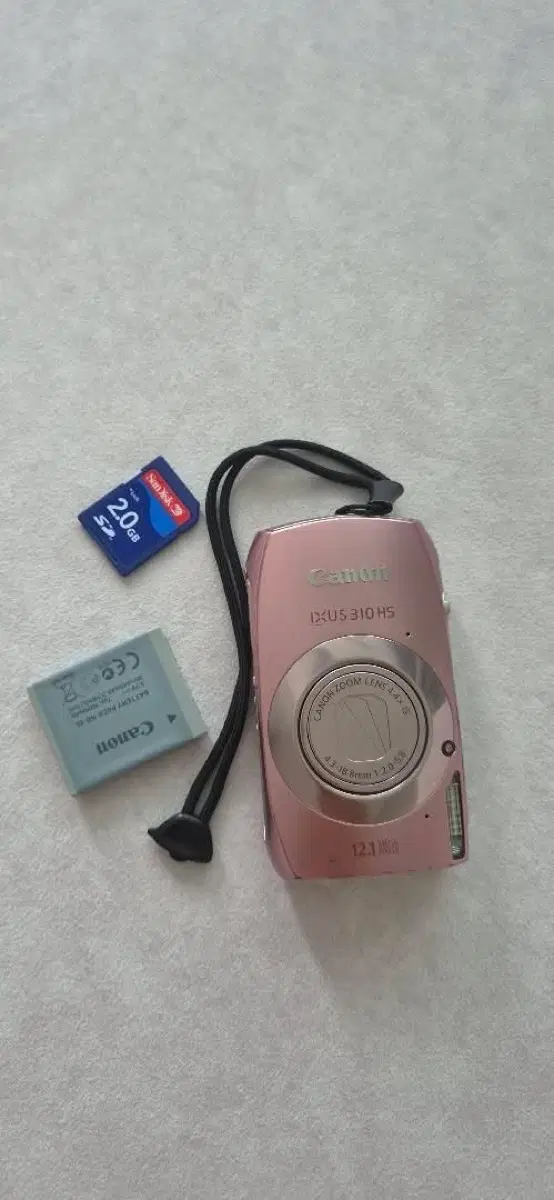 익서스310