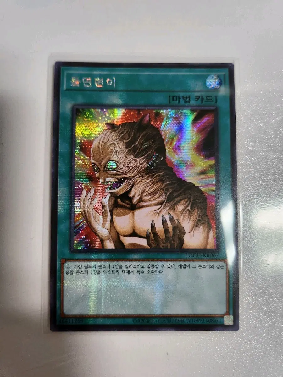 돌연변이 시크(LOCH-KR067)