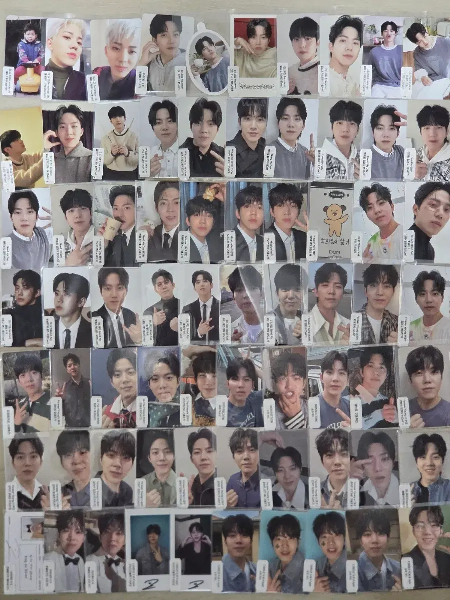 데이식스 도운 공식포토카드 140여장