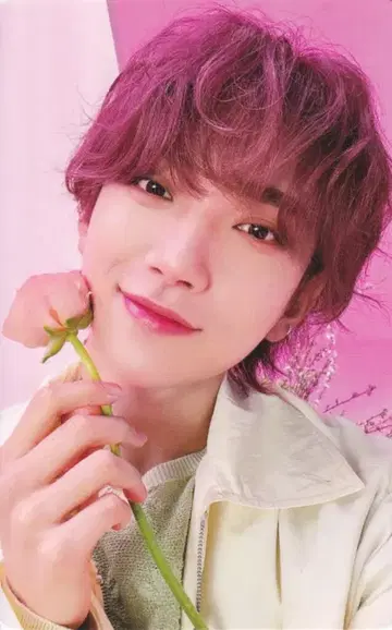 SEVENTEEN 일반ver JOSHUA ALWAYS YOURS 옅은 핑크