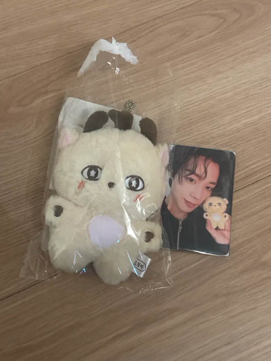 박지훈 소심이 인형