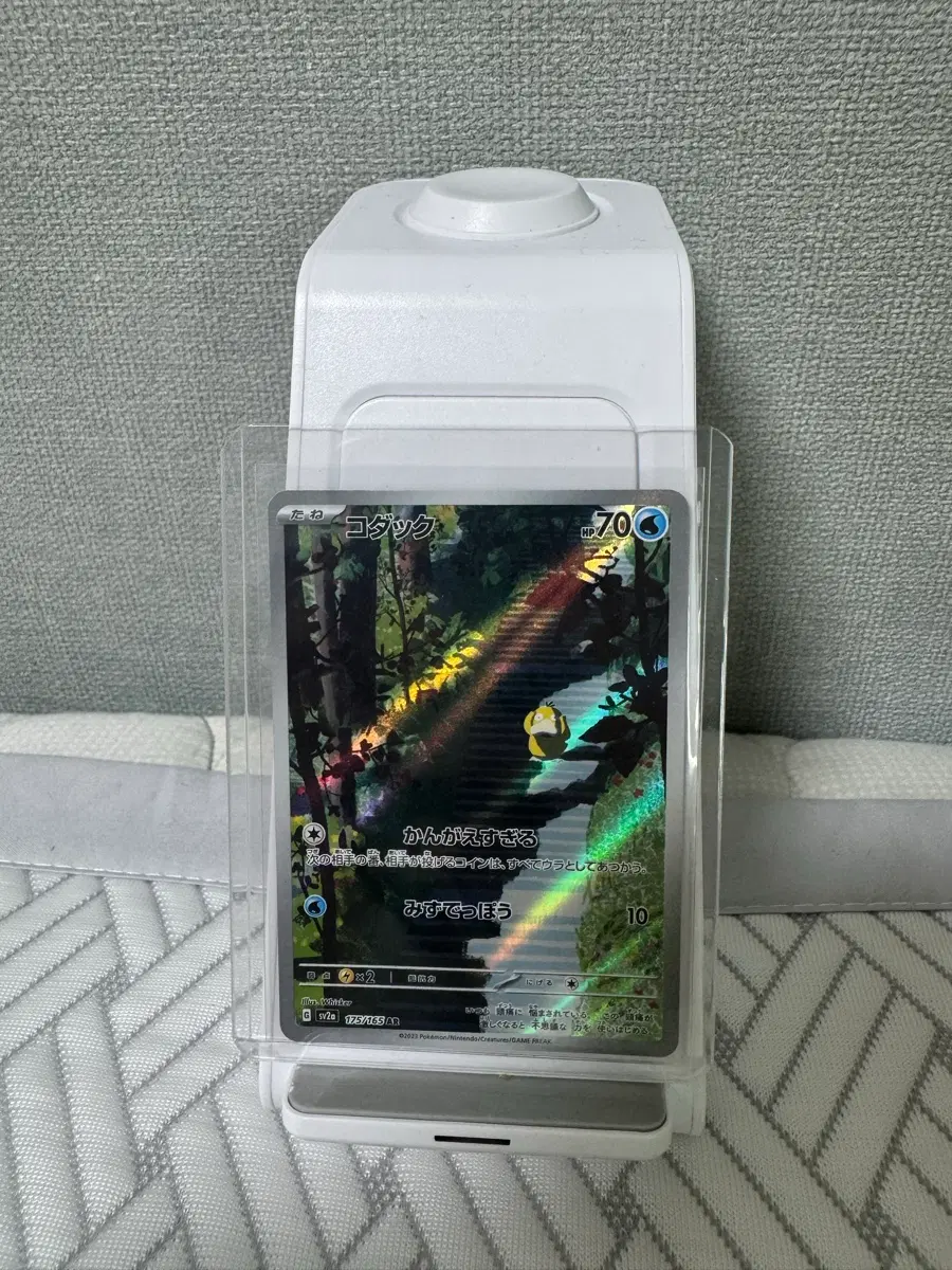 AR 175/165 고라파덕 AR 일판