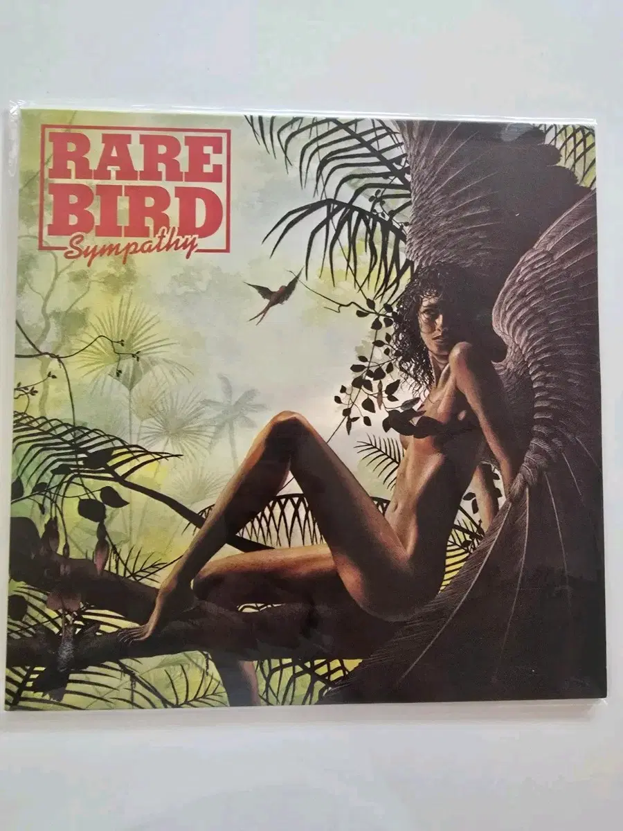 레어 버드 LP/ Rare Bird - Sympathy/ 가사집 있음/ NM