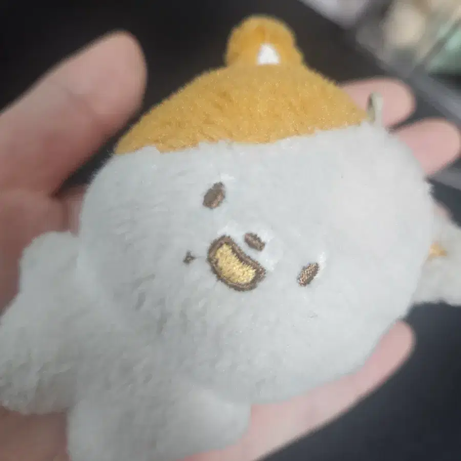 엔시티드림 지성 포켓찌