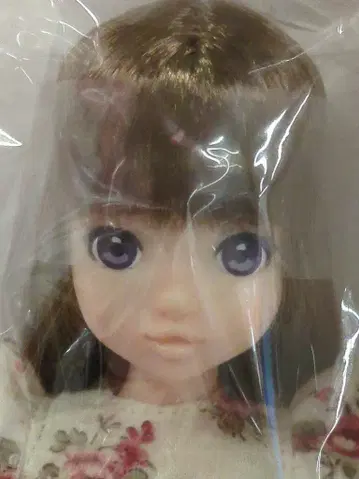 펫워크스 CCSgirl 14NY ruruko