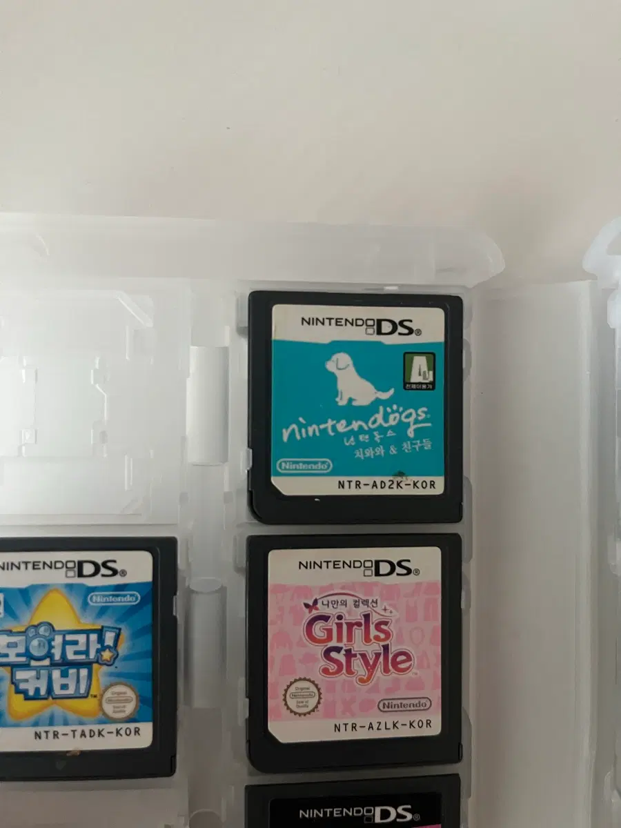 닌텐독스 ds