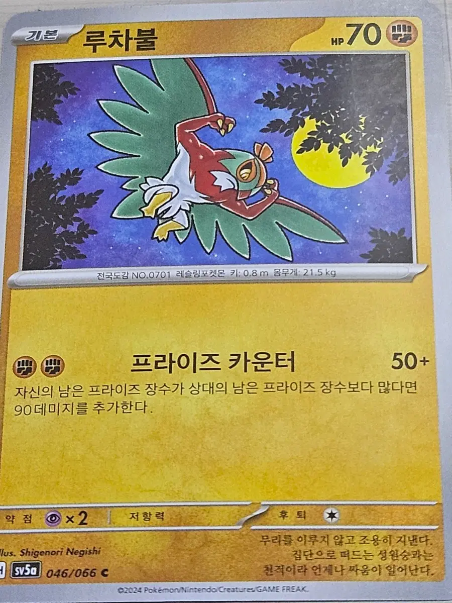 [최저가] 포켓몬 카드 루차불 046/066