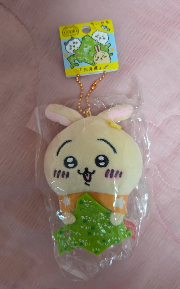 치이카와 훗카이도 지역한정 지도 우사기