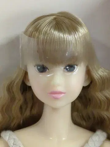펫웍스 CCS-momoko 12NY Home 문스톤
