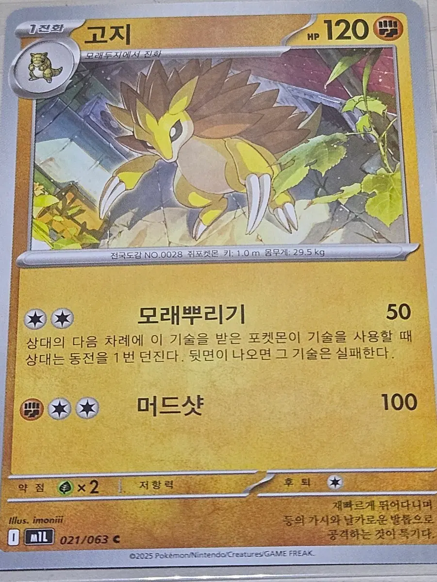 [최저가] 포켓몬 카드 고지