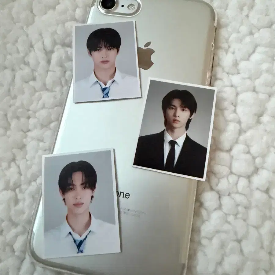 코르티스 증명사진