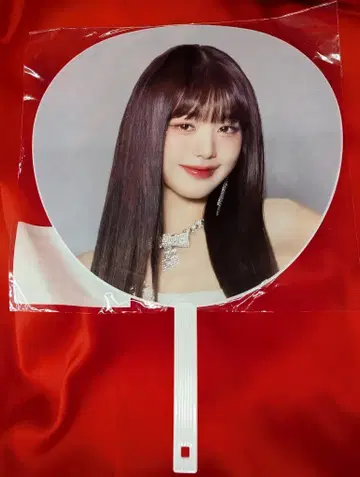 IVE IVE THE 1ST WORLD TOUR SHOW WHAT I HAVE' IN JAPAN WONYOUNG 부채 도쿄돔