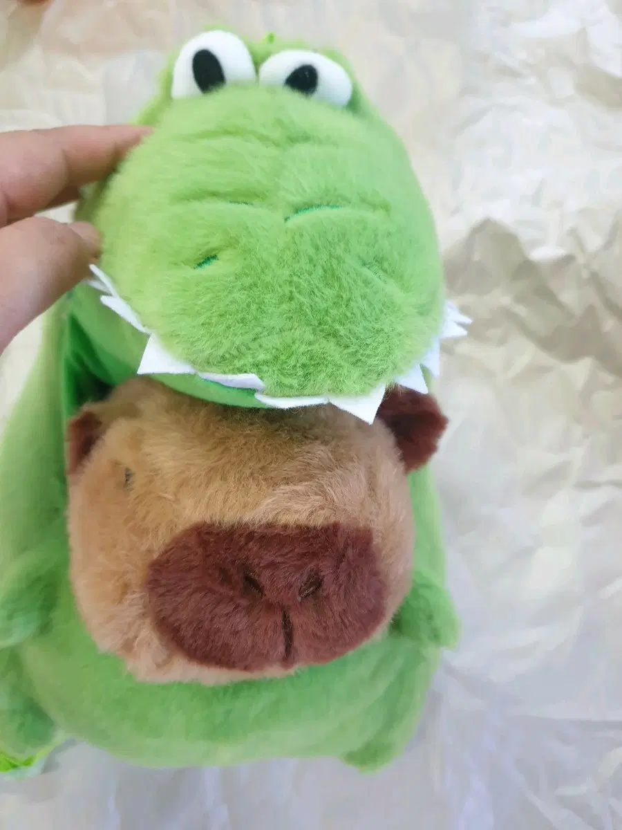 ~10/5 )악어 카피바라 인형 가방 백팩