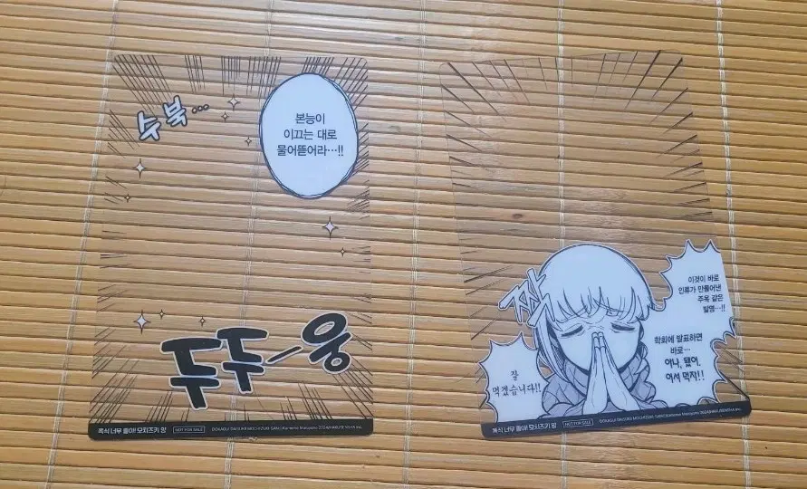 폭식 너무 좋아 모치즈키양 1권 2권 빅 big 클리어 카드