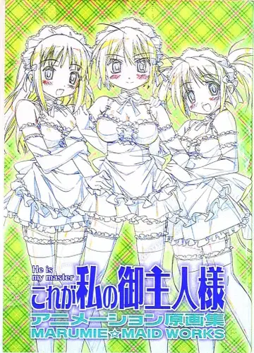 GAINAX 이것이 나의 주인님 애니메이션 원화집 [ MARUMIEMAIDWORKS ]