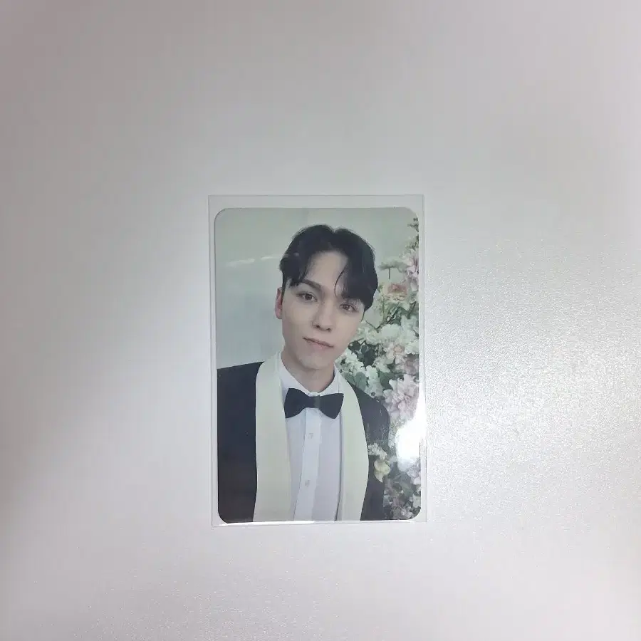 세븐틴 버논 FML 캐럿반 앨포