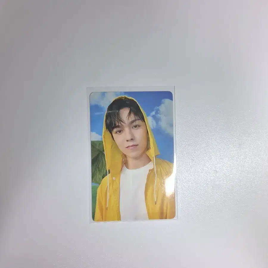 세븐틴 버논 헤븐 캐럿반 앨포