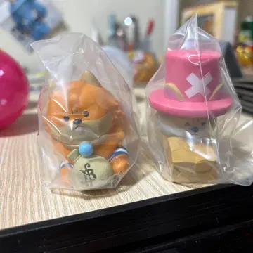 화난 원피스 멍멍이