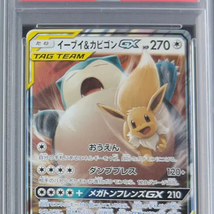 포켓몬카드 일판 잠만보&이브이 PSA10