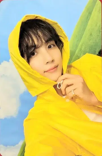 SEVENTEEN JEONGHAN SEVENTEENTH HEAVEN CARAT