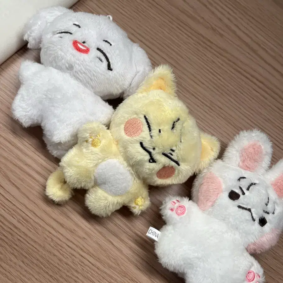 댕댕섭 광냥이 섭깽이 이창섭서은광비투비