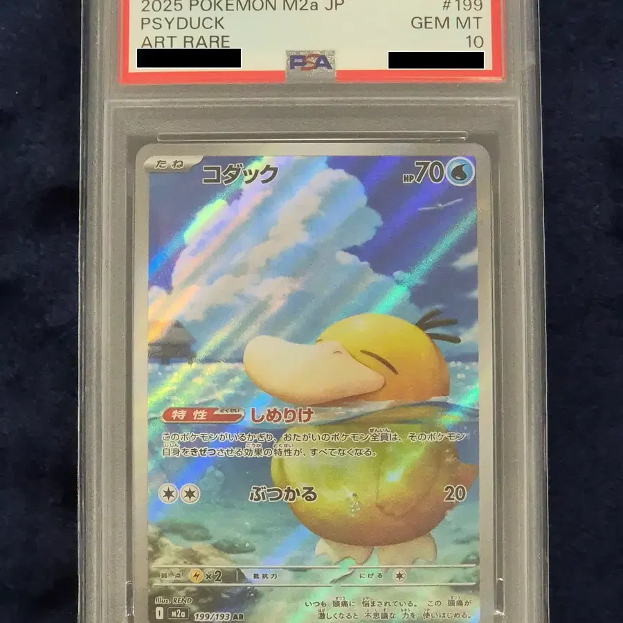 [PSA10] 고라파덕 AR