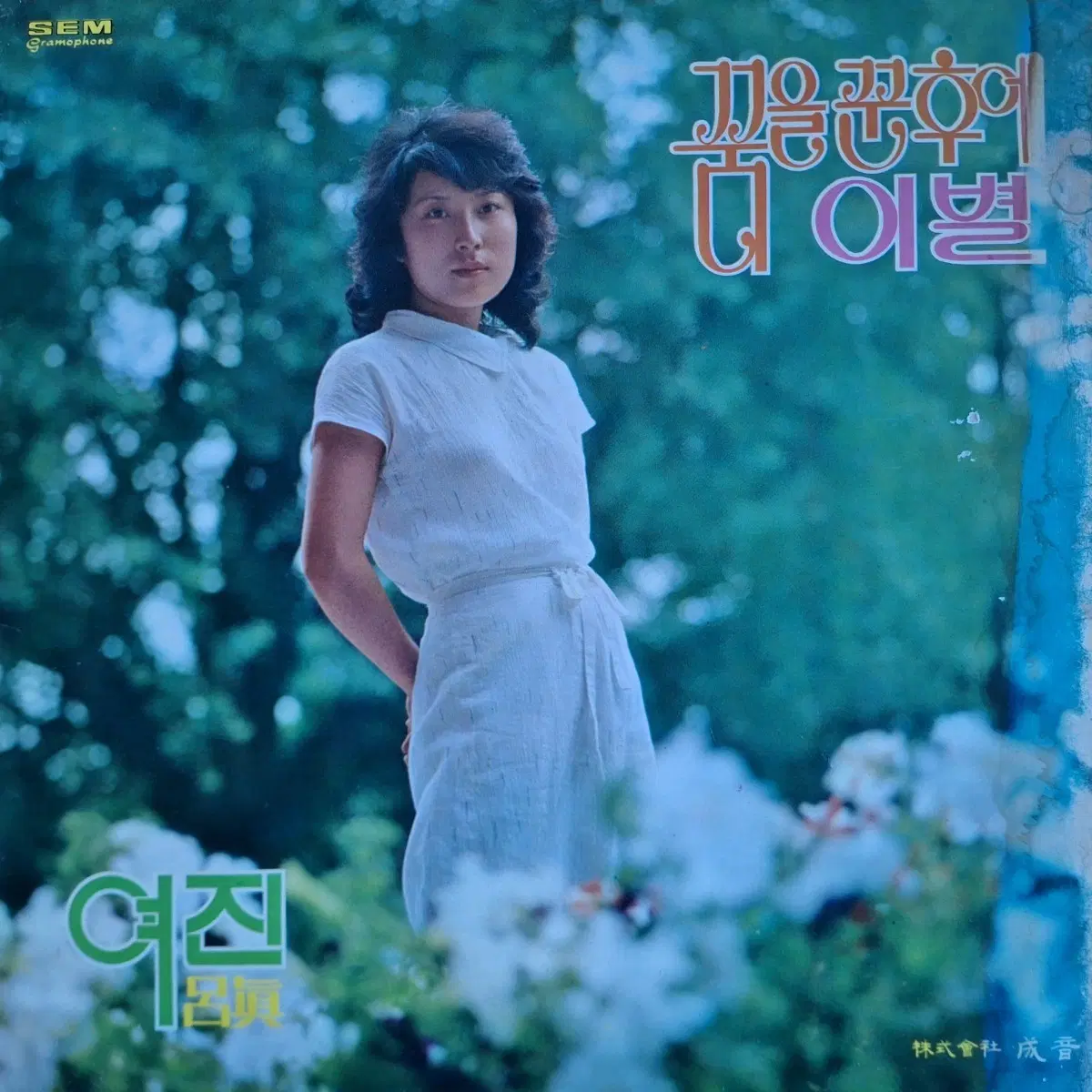 컬렉터용희귀반/성음발매반/여진-꿈을 꾼 후에/더 이별 LP