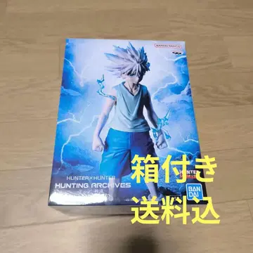 HUNTER x HUNTER HUNTING ARCHIVES 키루아 신속