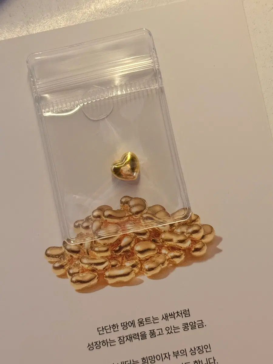 콩알금 1g