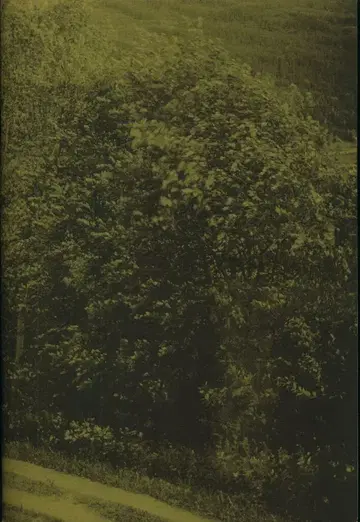 사인 포함 Ola Rindal DISTANCE(PICTURES FOR AN UNTOLD STORY)