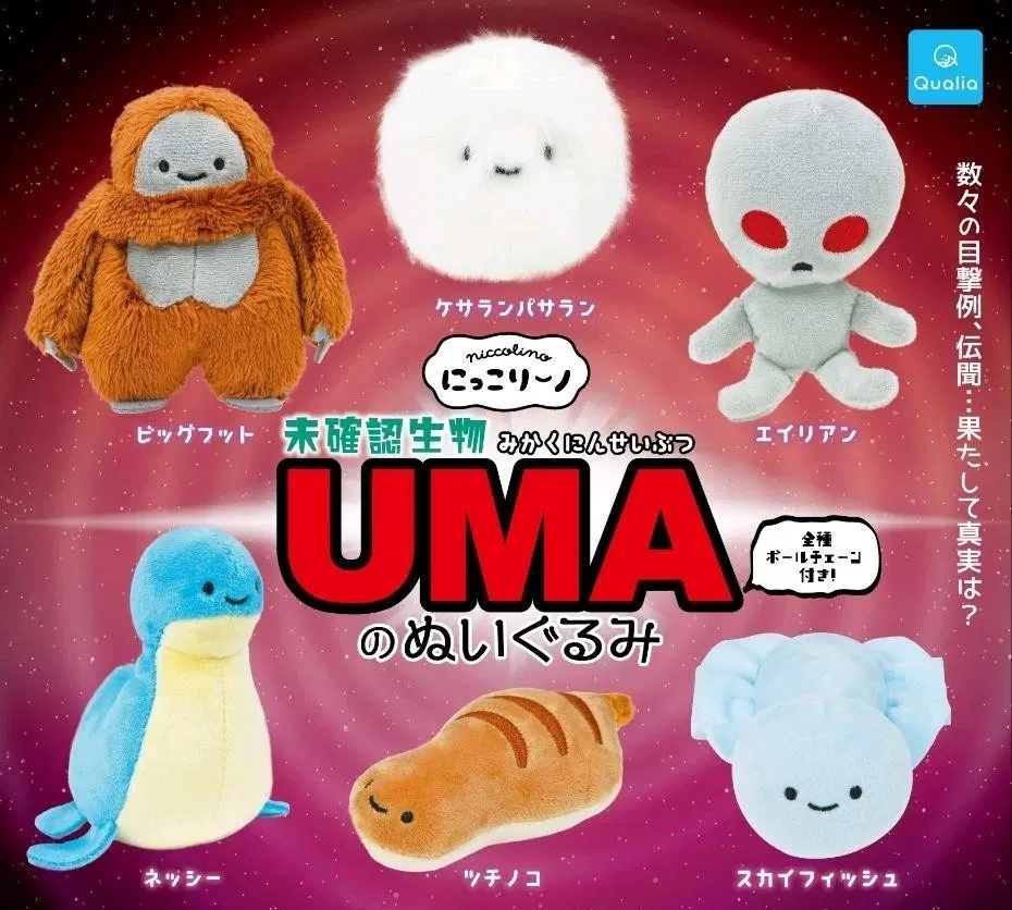 Qualia 닛코리노 uma 인형 가챠