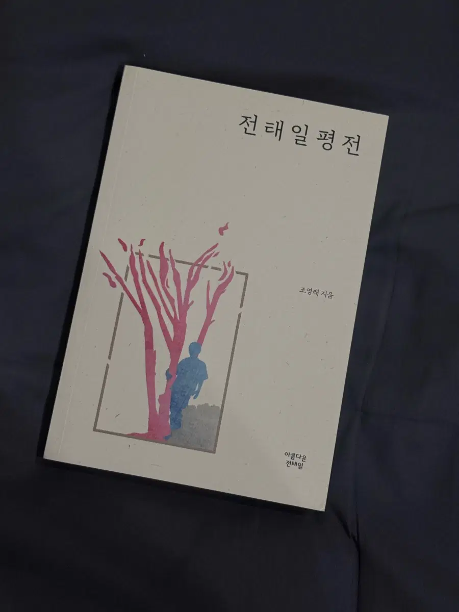 전태일 평전