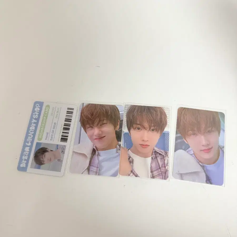 지성