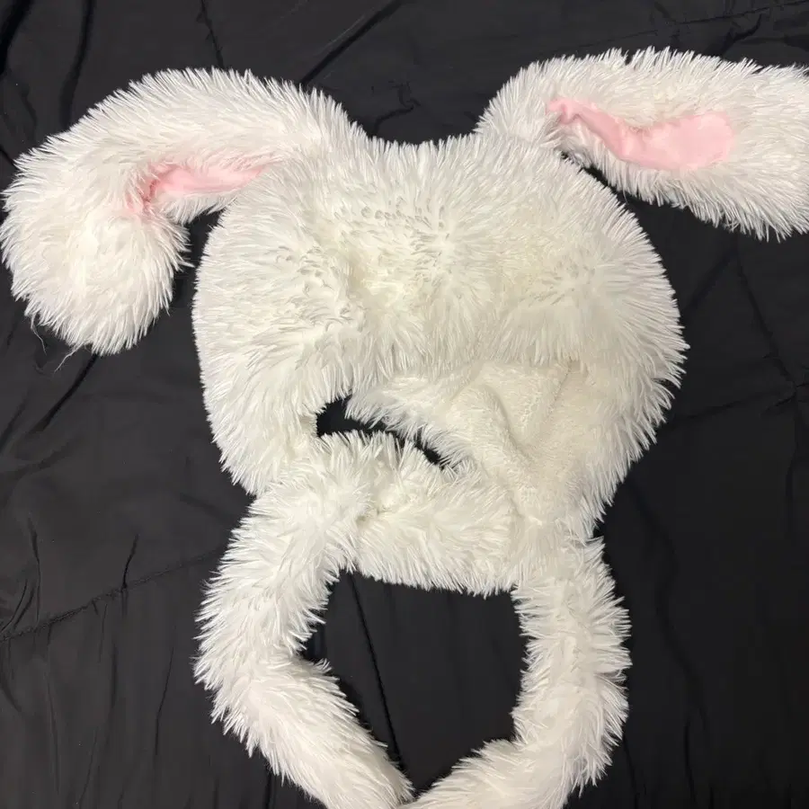 아이돌 팬싸템 양도 토끼 고양이 머리띠 모자 대여 판매