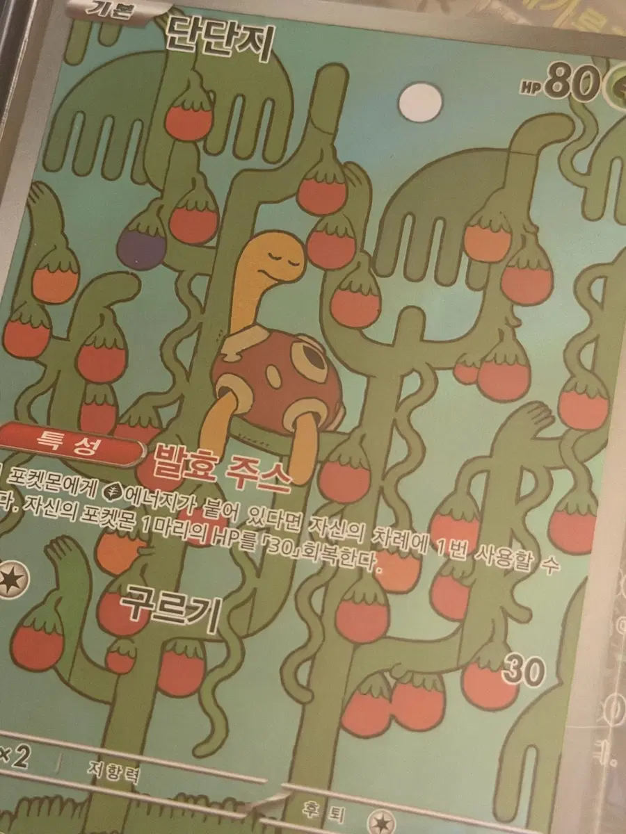 단단지 카드 매입합니다!
