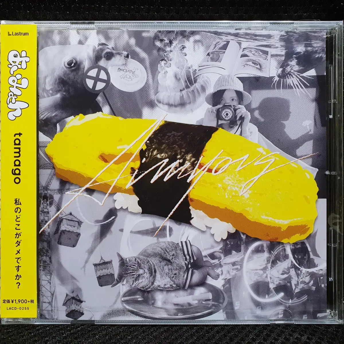 아이묭 tamago 타마고 CD 미개봉 신품