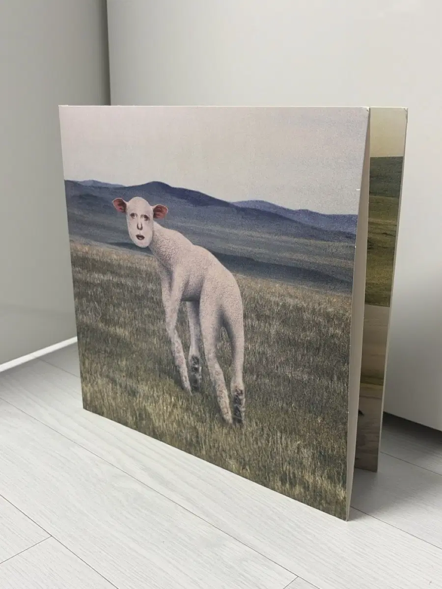 쏜애플 동물 LP 바이닐