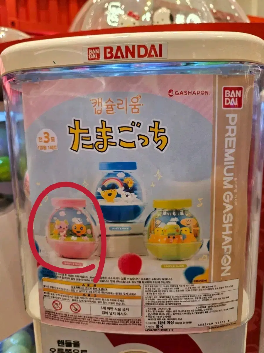다마고치 플라워치 메메치 가챠