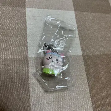 치이카와 영화 메지루시 헌책방