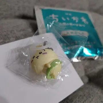 영화 치이카와 (먼작귀) 인어섬의 비밀 토끼