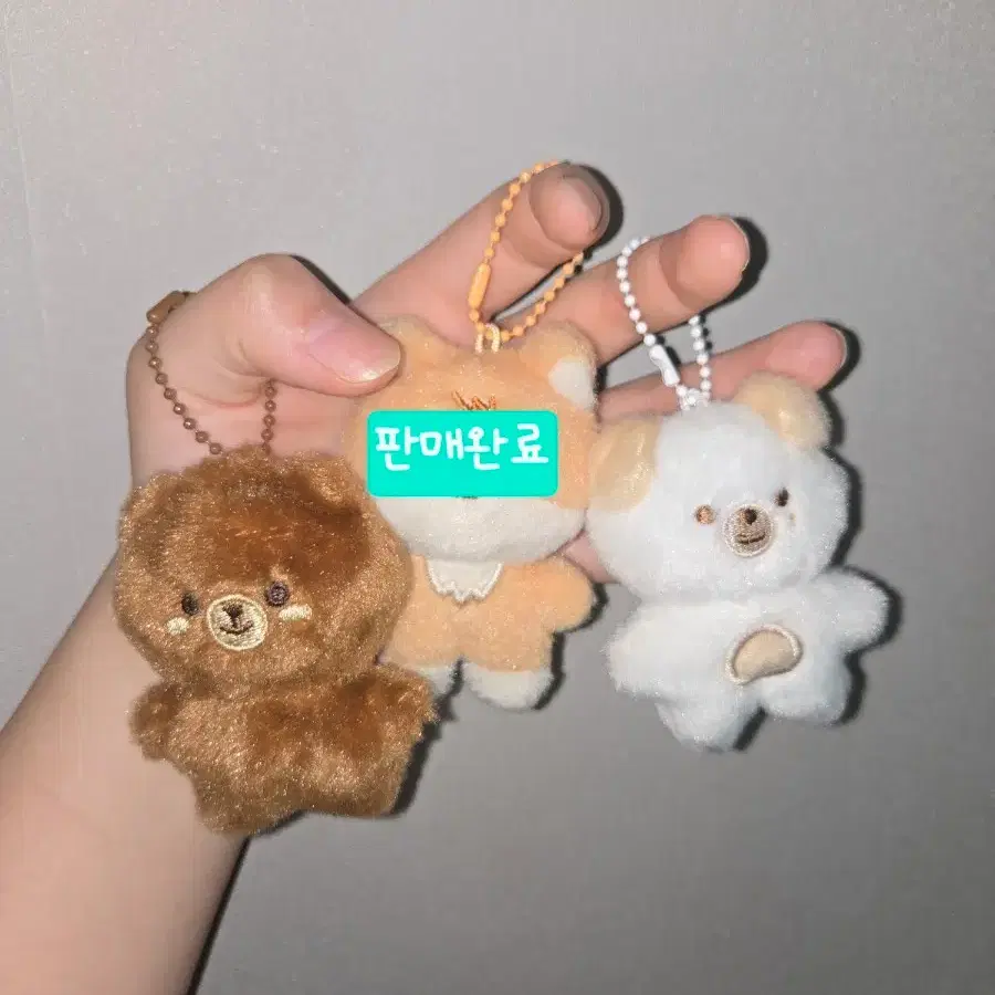 데니멀즈 양도