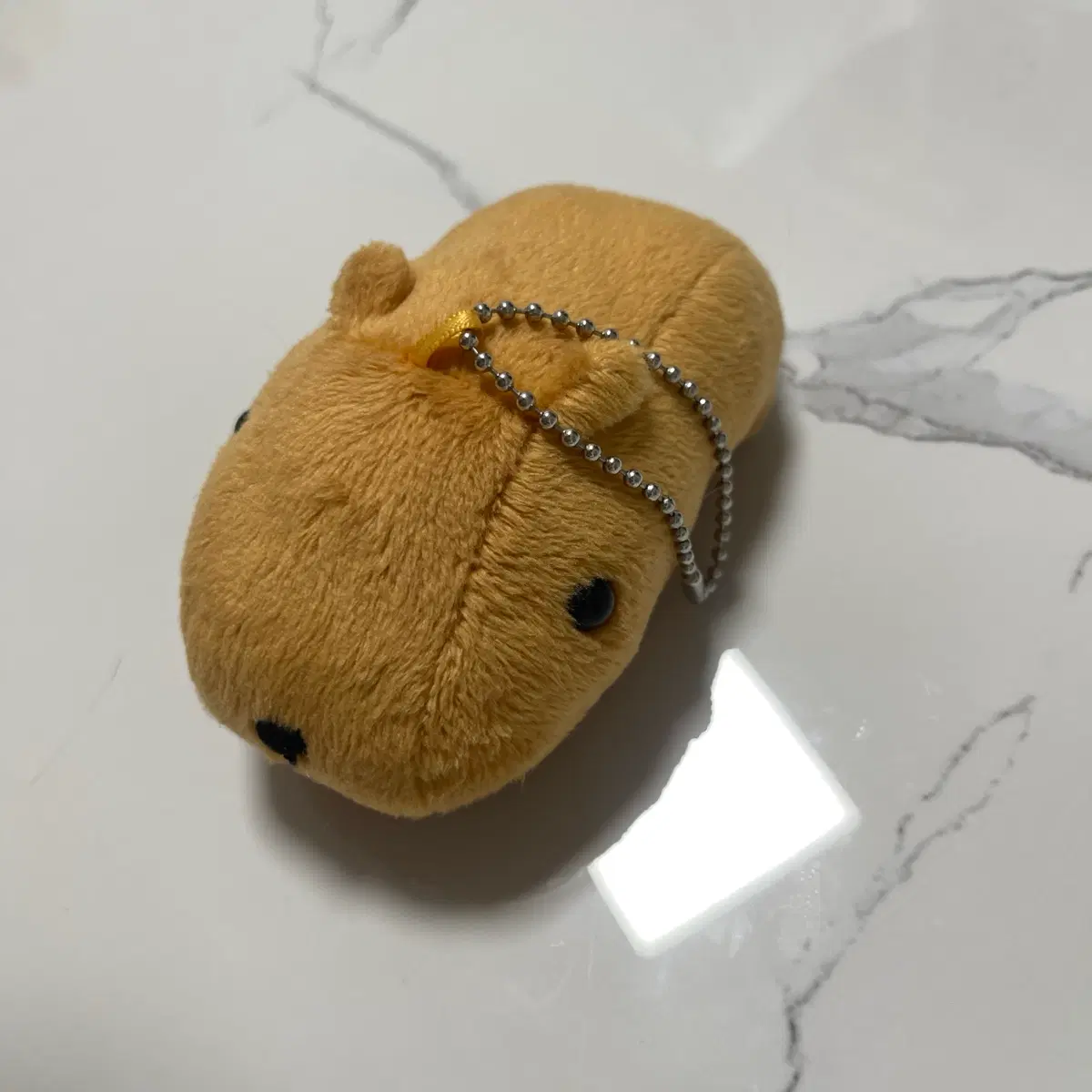 카피바라