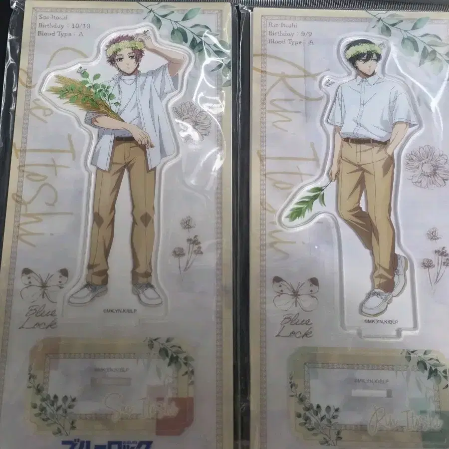 블루록 이토시 사에 이토시 린 아크릴 스텐드 일괄