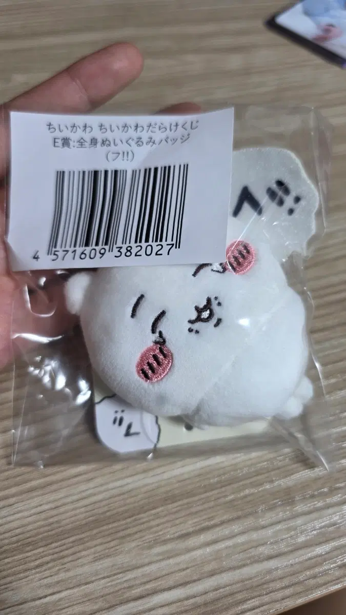 치이카와투성이 쿠지 e상