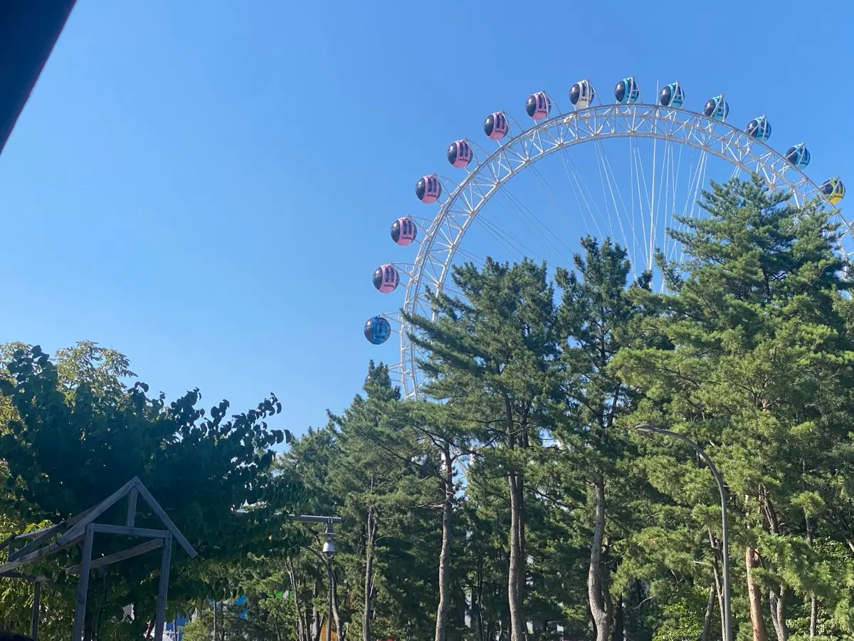 사진찍어드려요 1시간